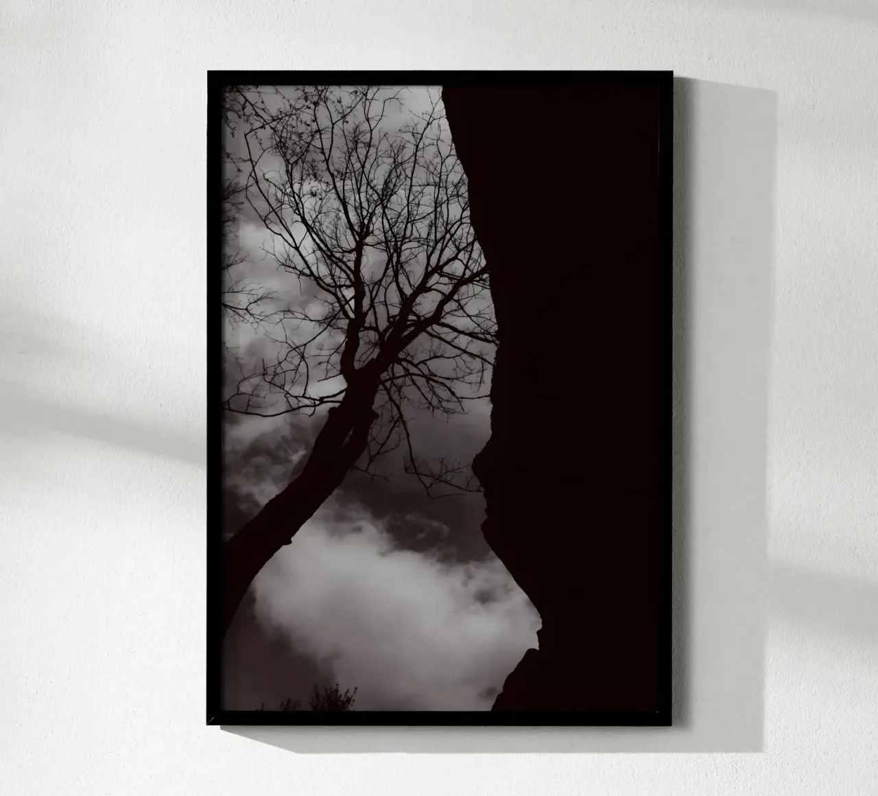 Albero nodoso in una silhouette drammatica carta hahnemühle da NA/MO