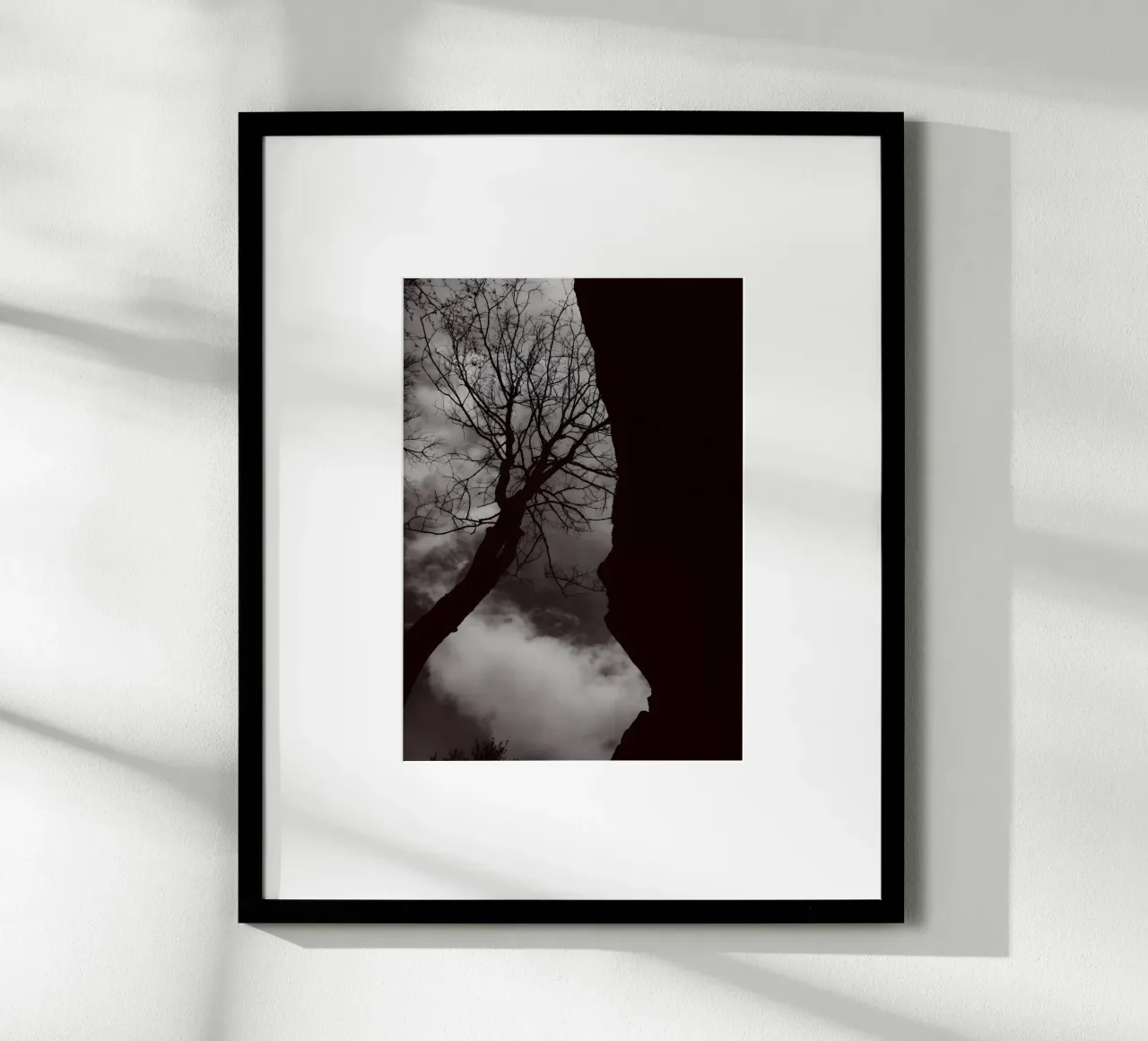 Albero nodoso in una silhouette drammatica carta hahnemühle da NA/MO