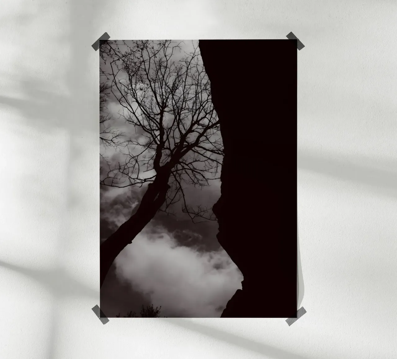 Albero nodoso in una silhouette drammatica carta hahnemühle da NA/MO