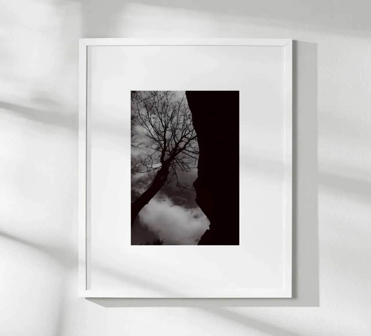 Albero nodoso in una silhouette drammatica carta hahnemühle da NA/MO