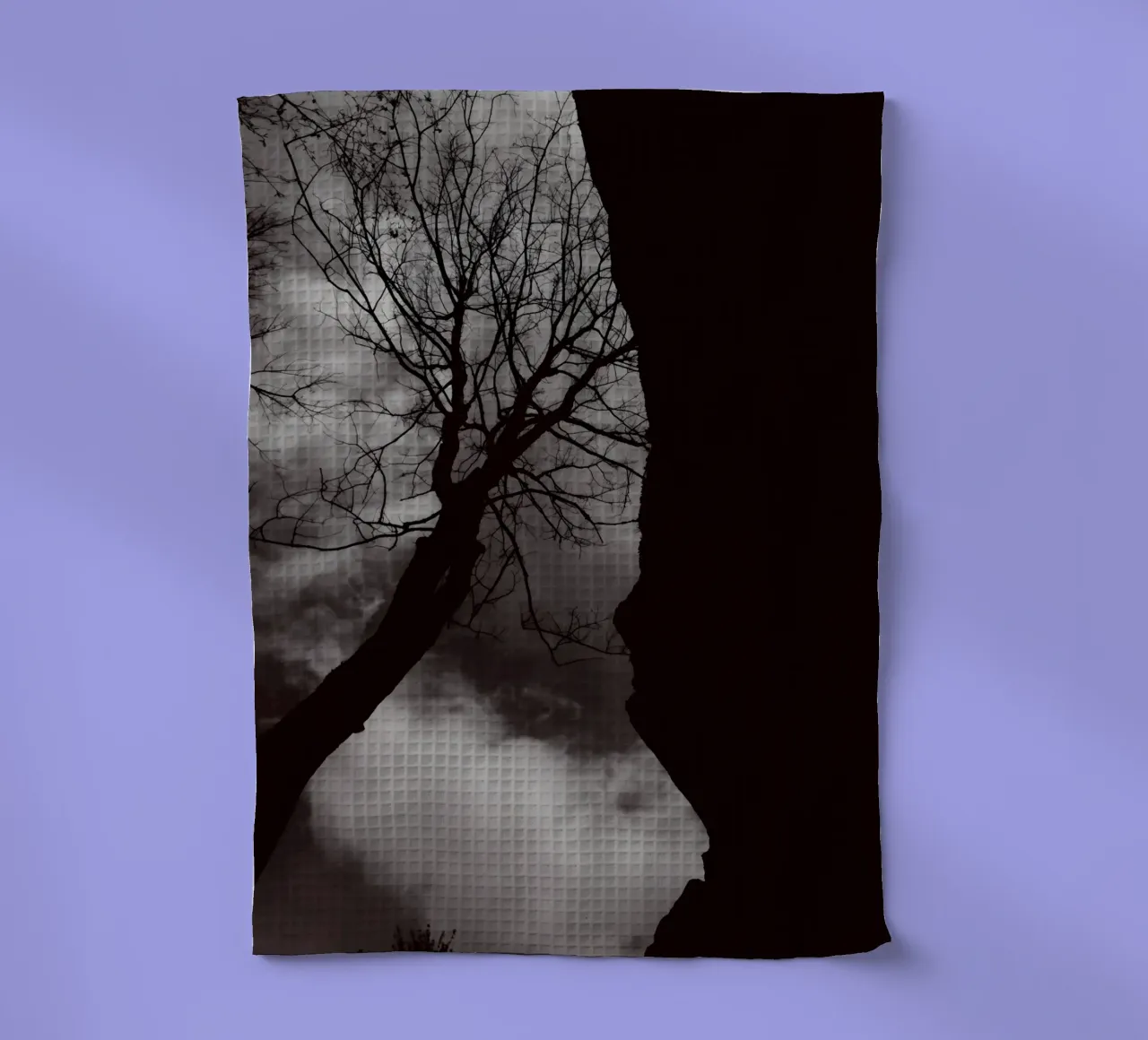Albero nodoso in una silhouette drammatica canovaccio da cucina da NA/MO