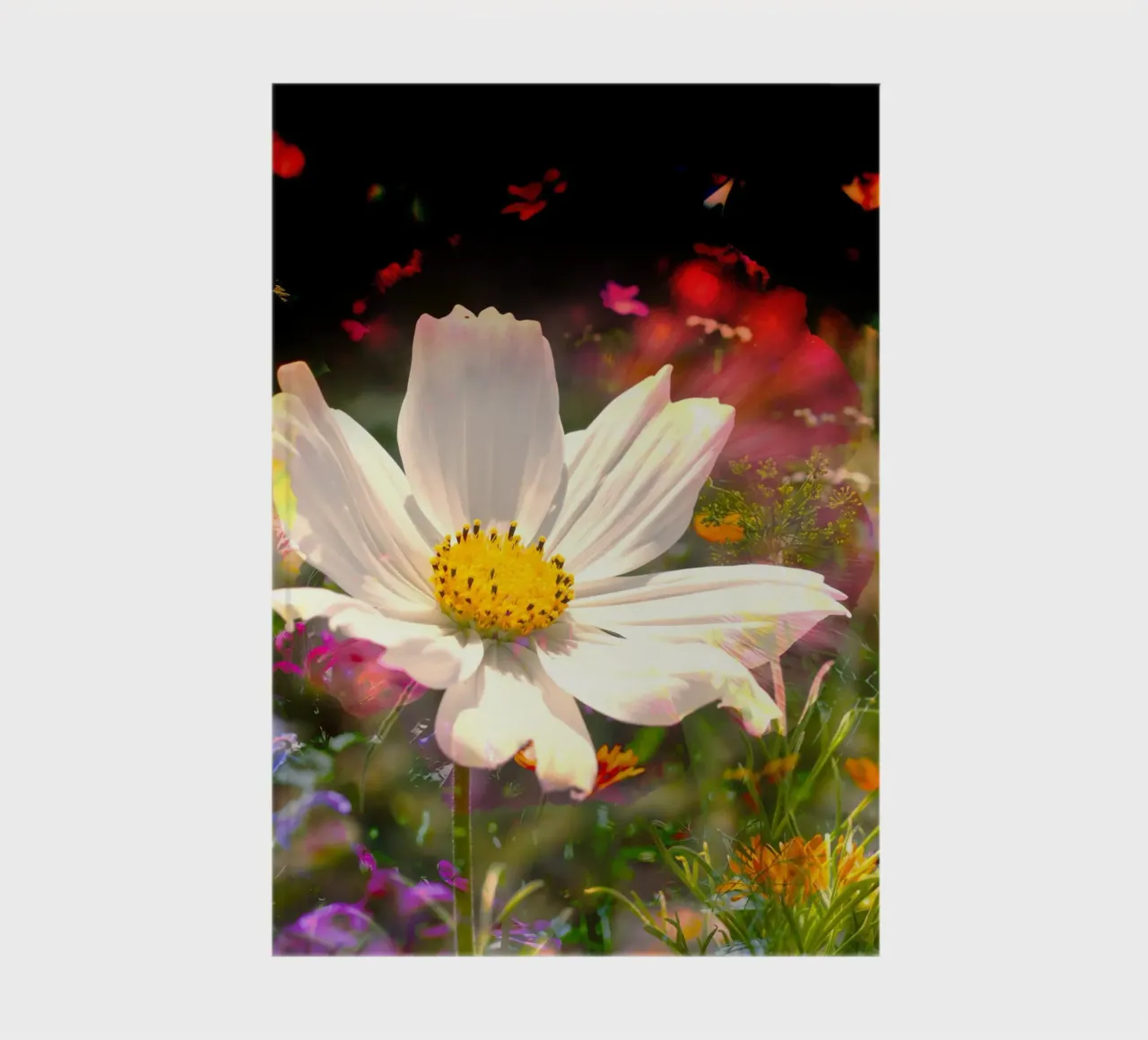 white flower stands brightly in the centre of a field of flowers notebook by NA/MO