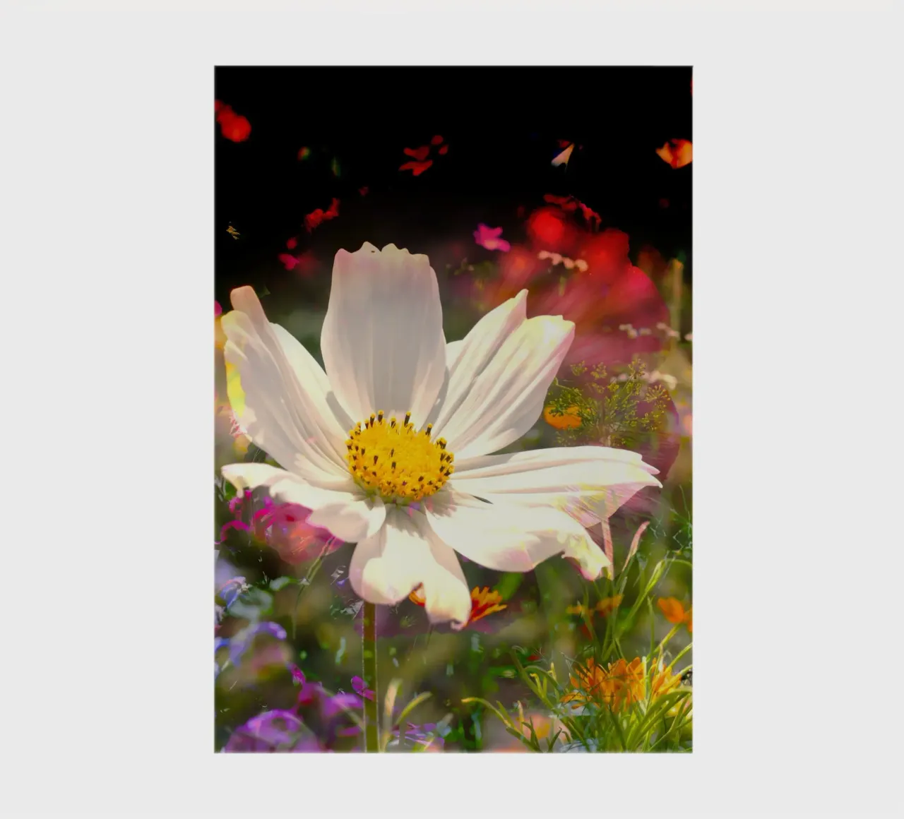 white flower stands brightly in the centre of a field of flowers notebook by NA/MO