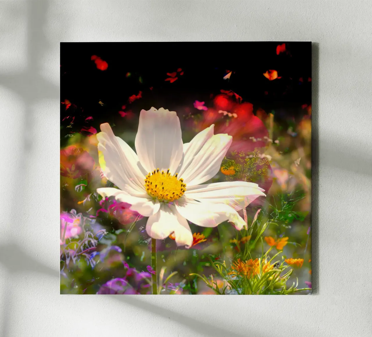 white flower stands brightly in the centre of a field of flowers canvas with Floater frame by NA/MO