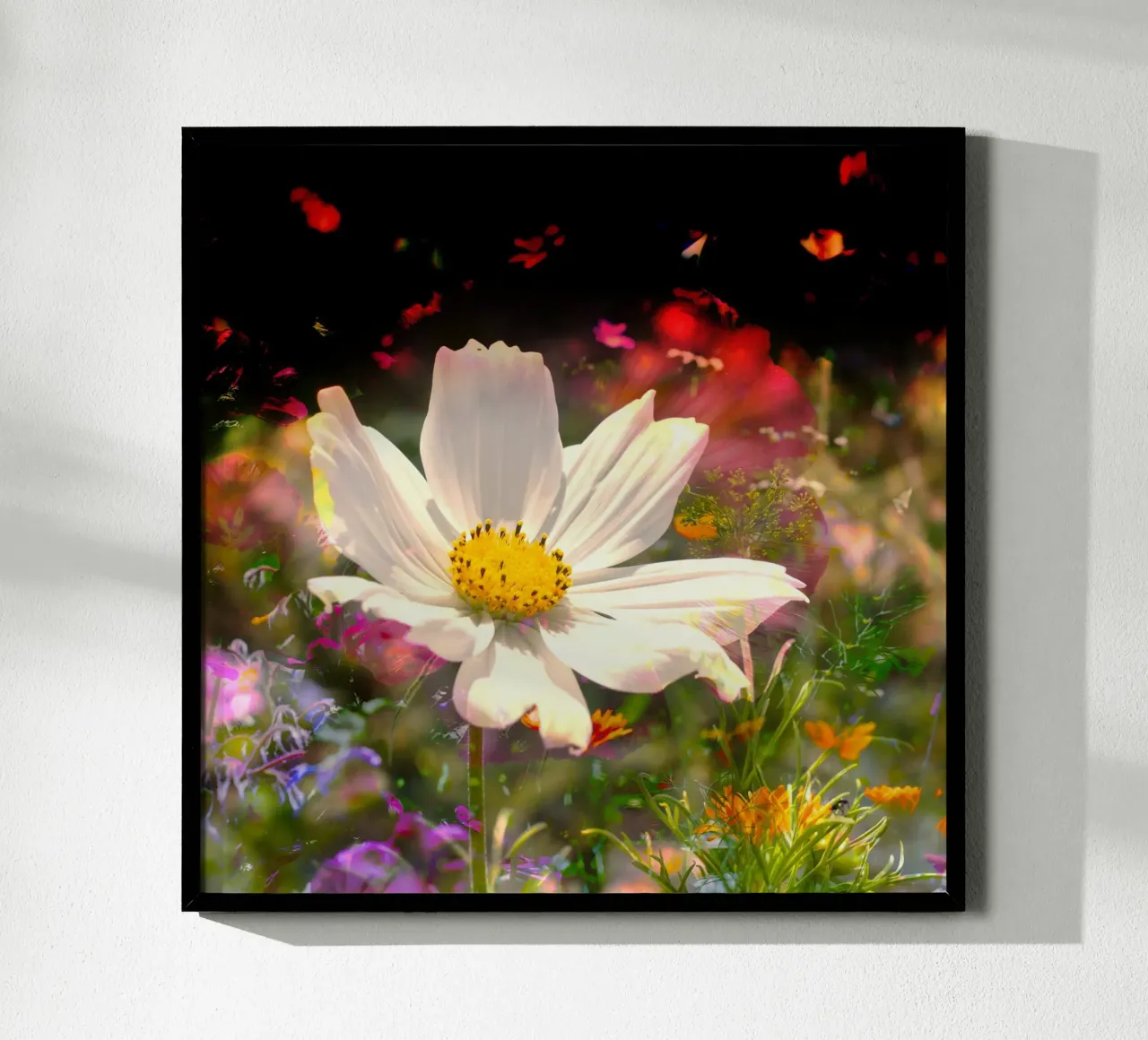 white flower stands brightly in the centre of a field of flowers poster by NA/MO