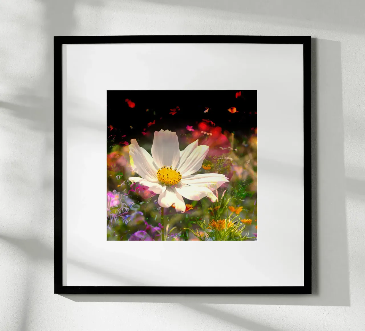 white flower stands brightly in the centre of a field of flowers poster by NA/MO