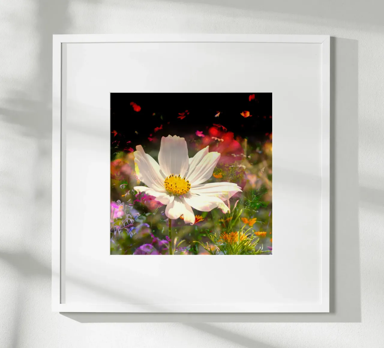 white flower stands brightly in the centre of a field of flowers poster by NA/MO