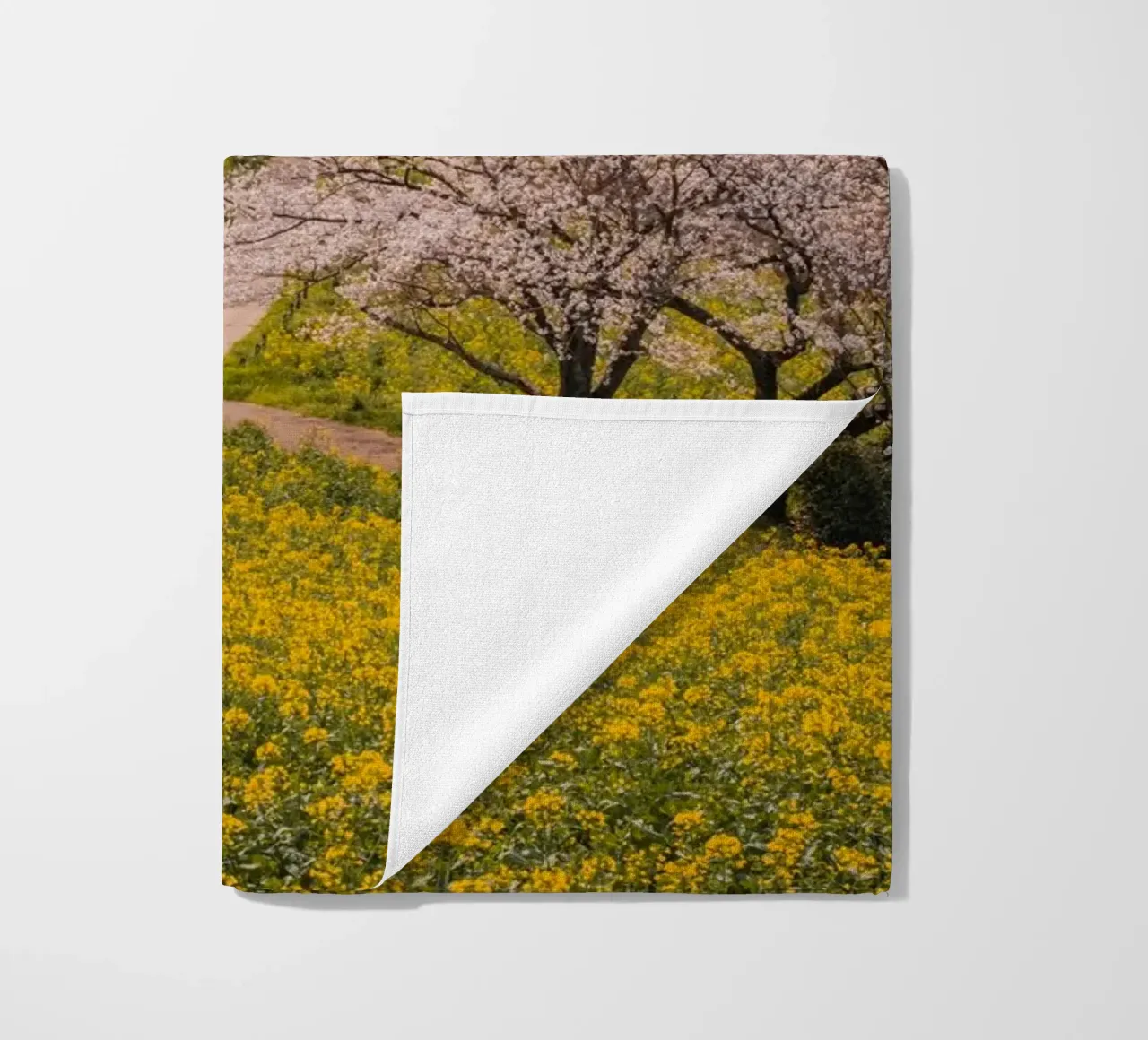 Albero dei ciliegi in fiore a Kyushu, Giappone telo mare da Marcel Bisig