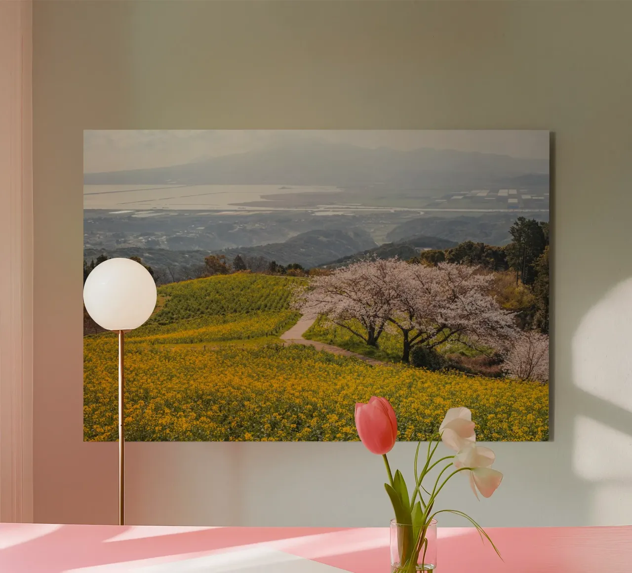 Albero dei ciliegi in fiore a Kyushu, Giappone alluminio dibond da Marcel Bisig