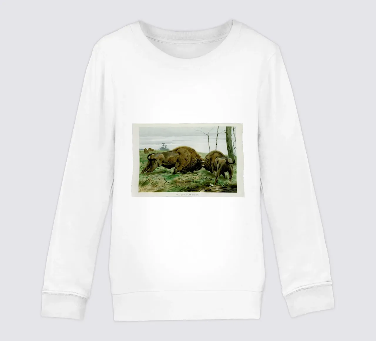 European Bison In Battle felpa bambino da Flora & Fauna