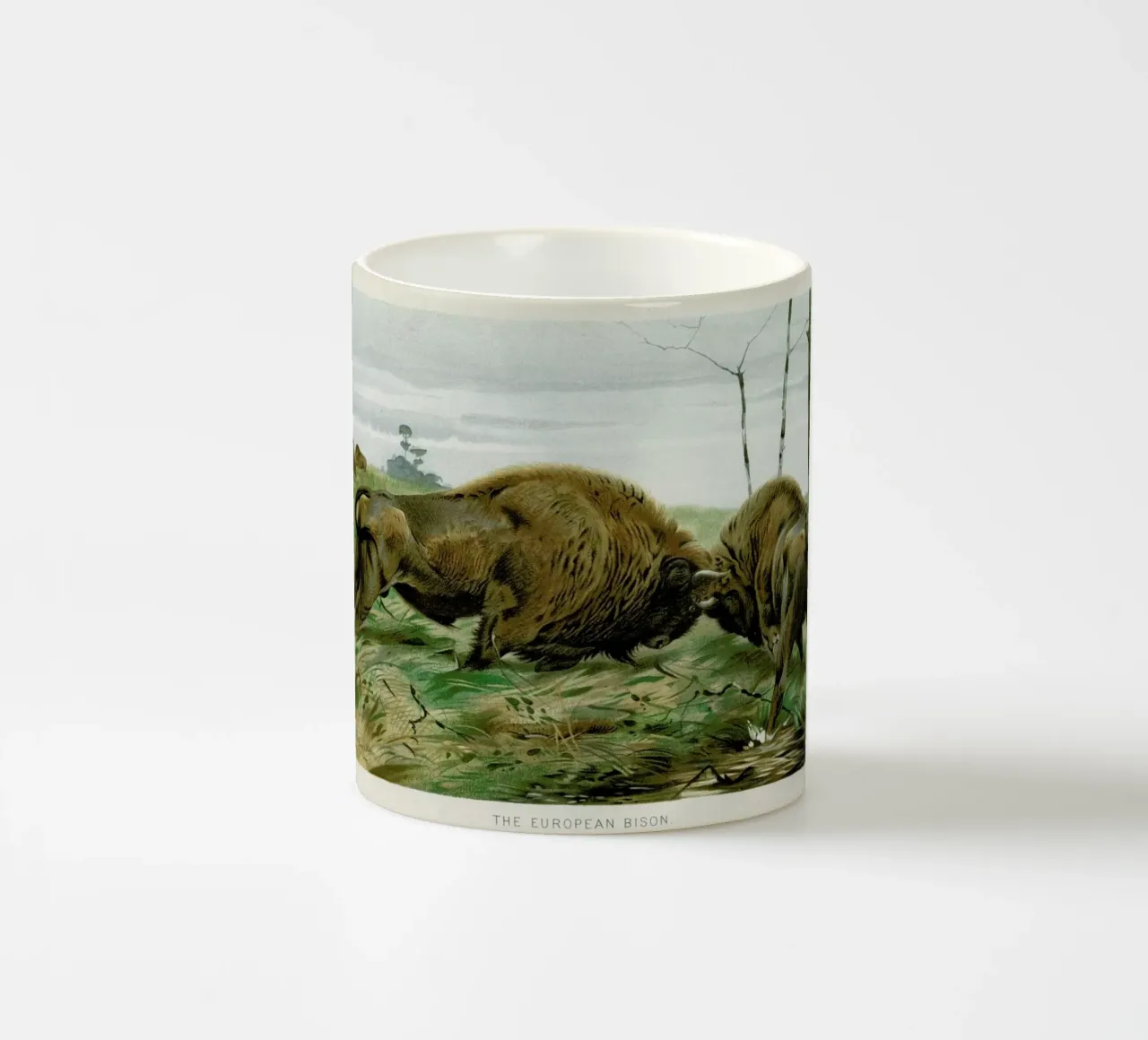 European Bison In Battle tazza in ceramica da Flora & Fauna