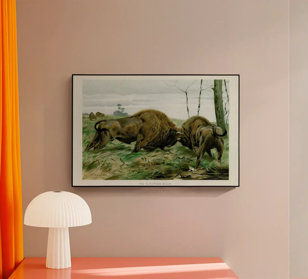 European Bison In Battle plexiglass da Flora & Fauna