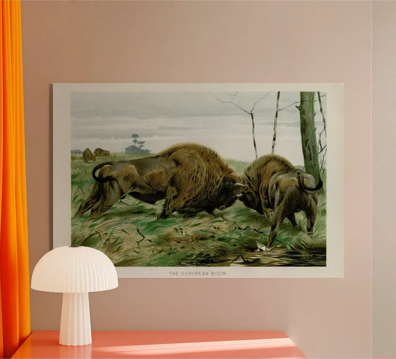 European Bison In Battle plexiglass da Flora & Fauna