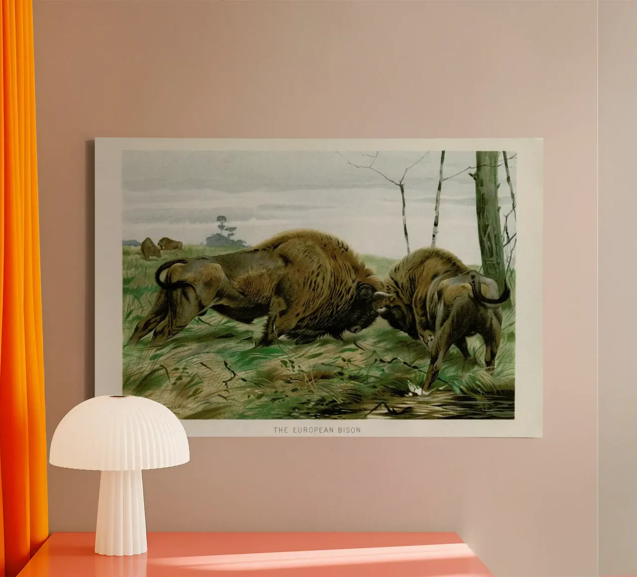 European Bison In Battle tela con Cornice a cassetta da Flora & Fauna