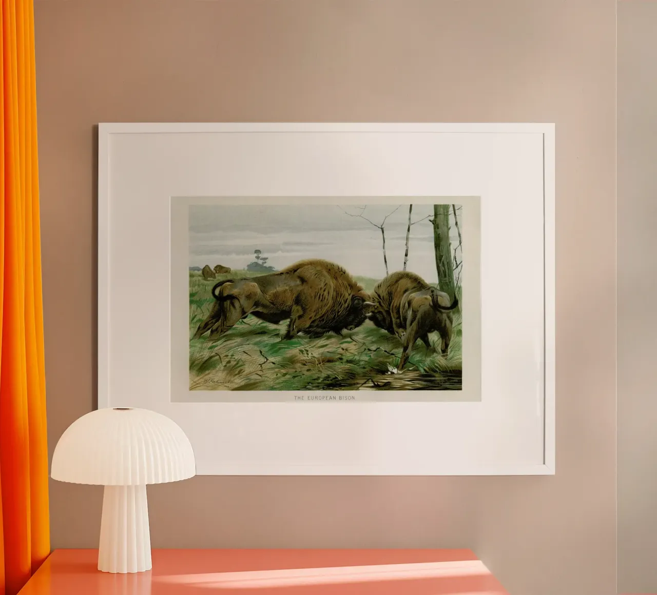 European Bison In Battle poster con telaio in legno da Flora & Fauna