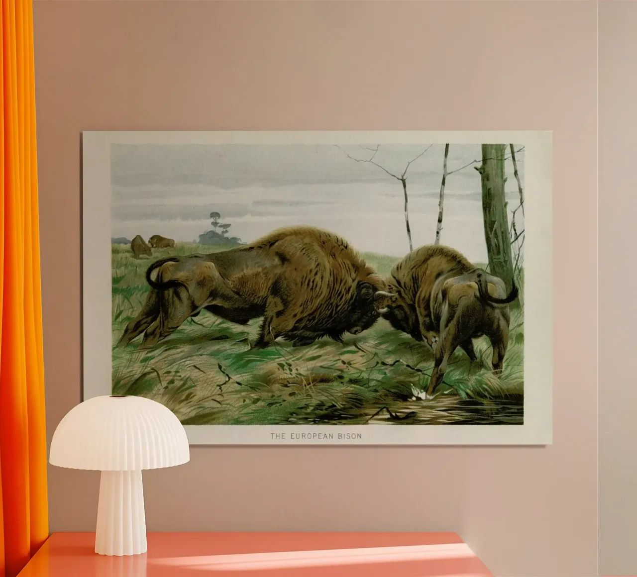 European Bison In Battle poster con telaio in legno da Flora & Fauna