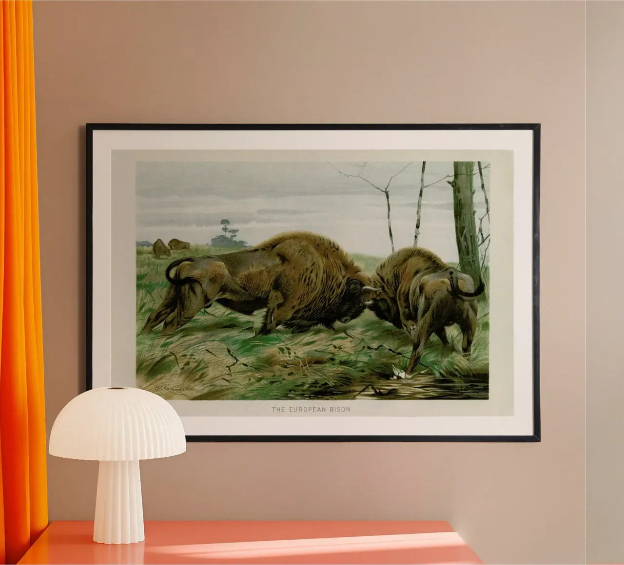 European Bison In Battle poster con telaio in legno da Flora & Fauna