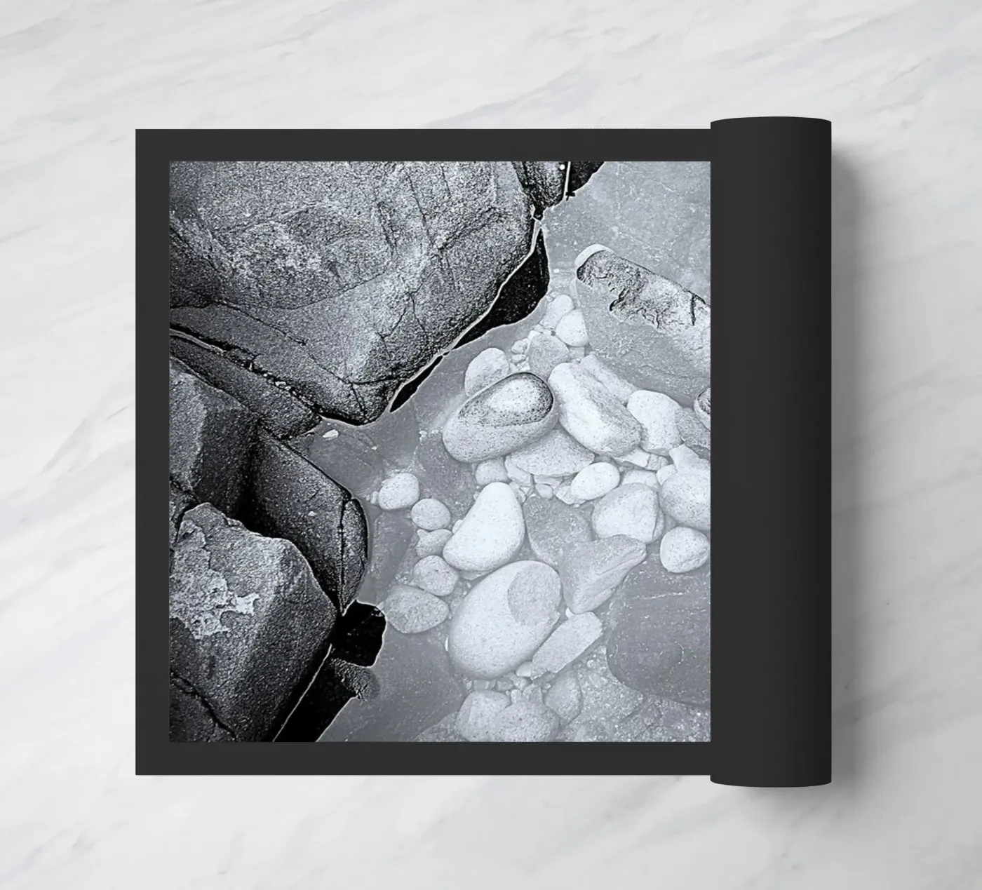 BW62 zerbino da Thierry vobmann photography