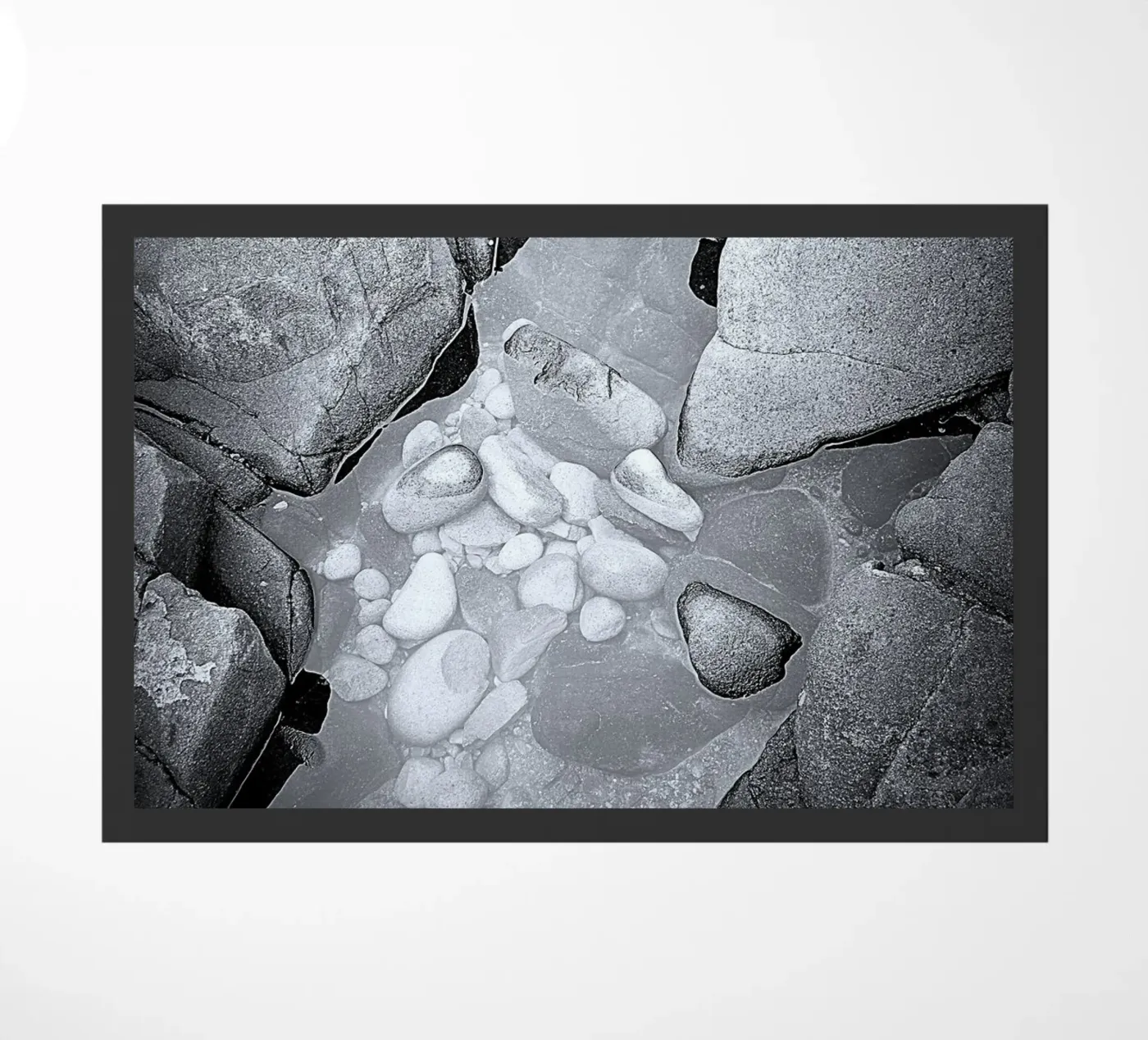 BW62 zerbino da Thierry vobmann photography