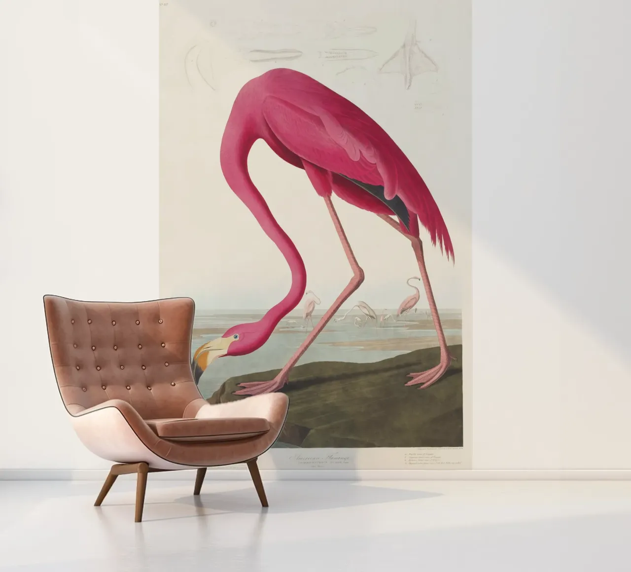 Pink Flamingo (1827) by John James Audubon photo wallpaper by Venus Art