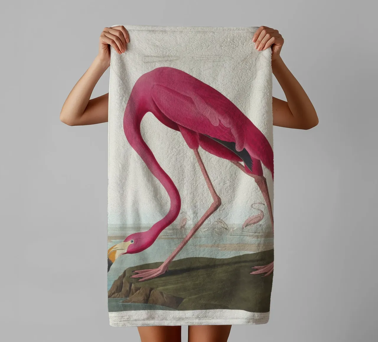 Pink Flamingo (1827) by John James Audubon towel by Venus Art