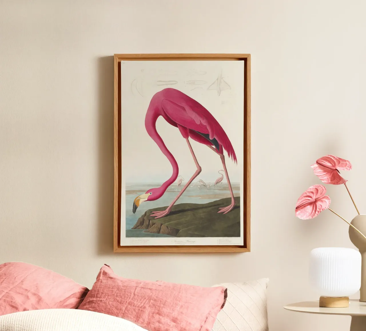 Pink Flamingo (1827) by John James Audubon canvas with Floater frame by Venus Art