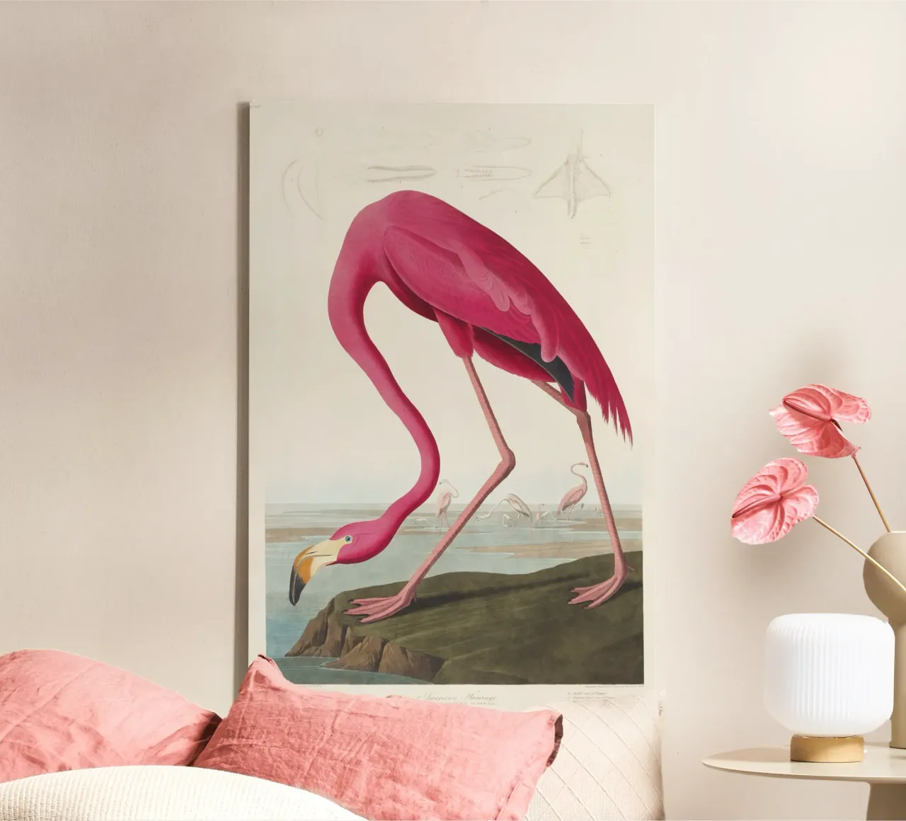 Pink Flamingo (1827) by John James Audubon canvas with Floater frame by Venus Art