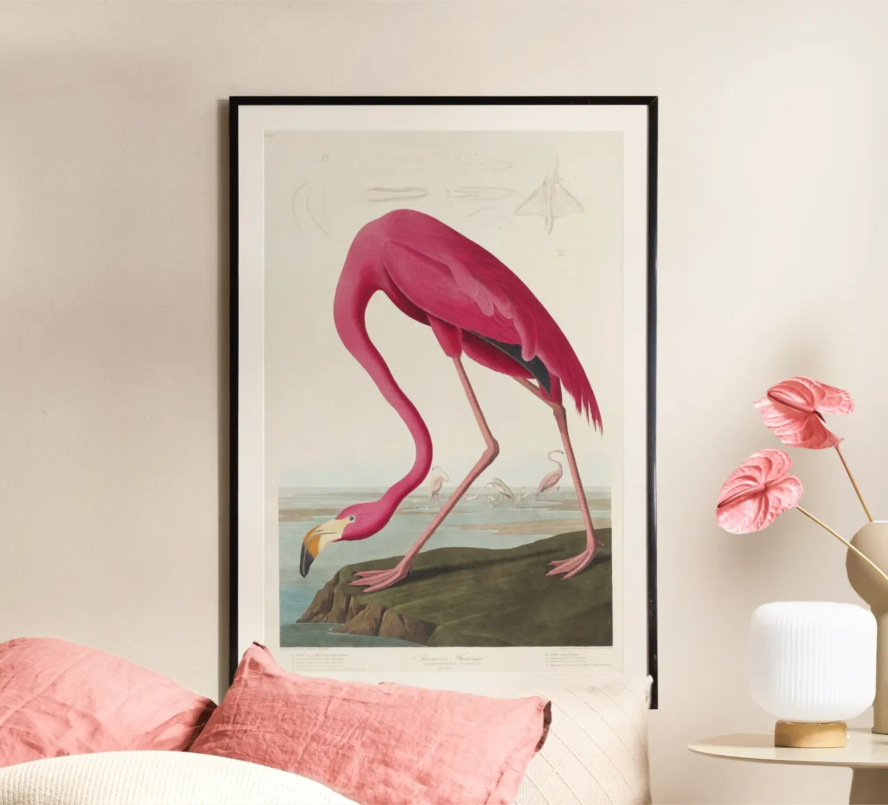 Fenicottero rosa (1827) di John James Audubon poster da Venus Art