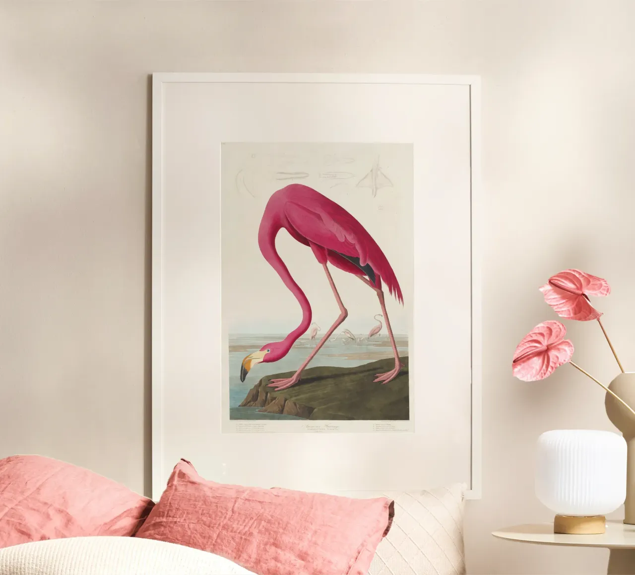 Fenicottero rosa (1827) di John James Audubon poster da Venus Art