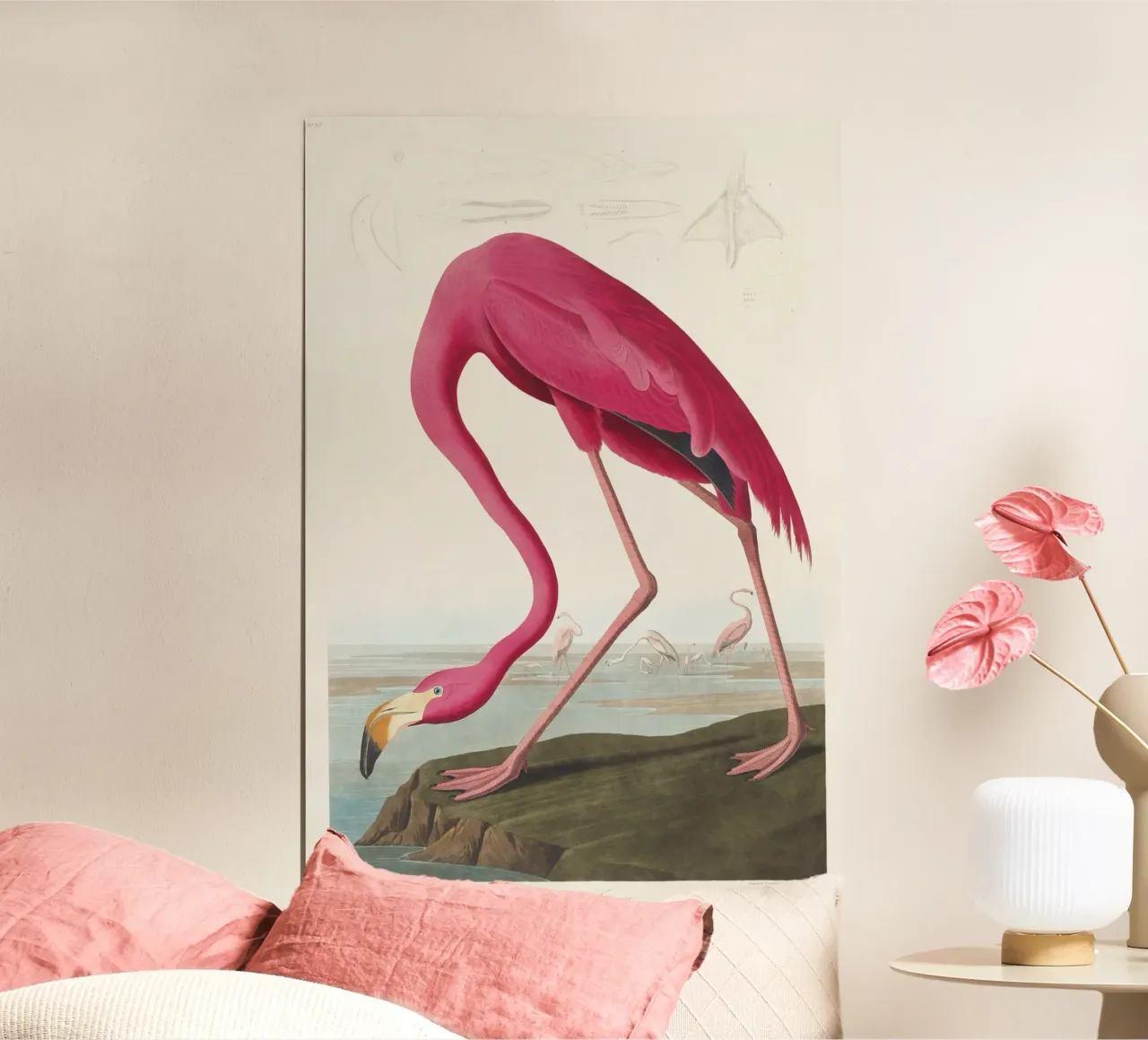 Fenicottero rosa (1827) di John James Audubon poster da Venus Art