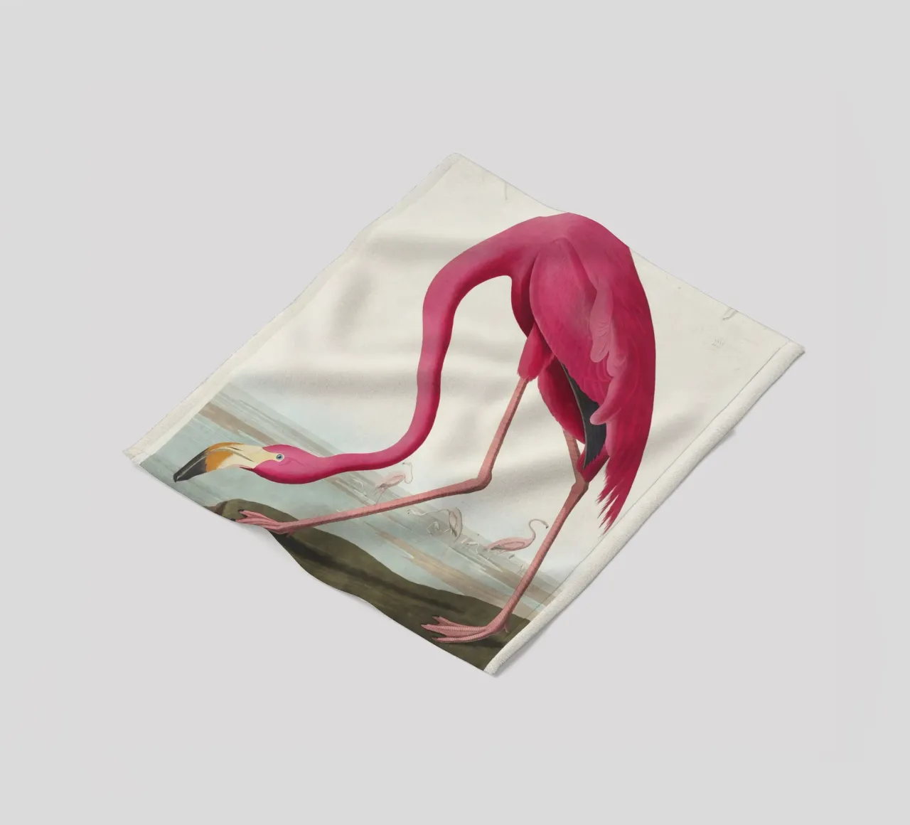 Fenicottero rosa (1827) di John James Audubon coperta in pile da Venus Art