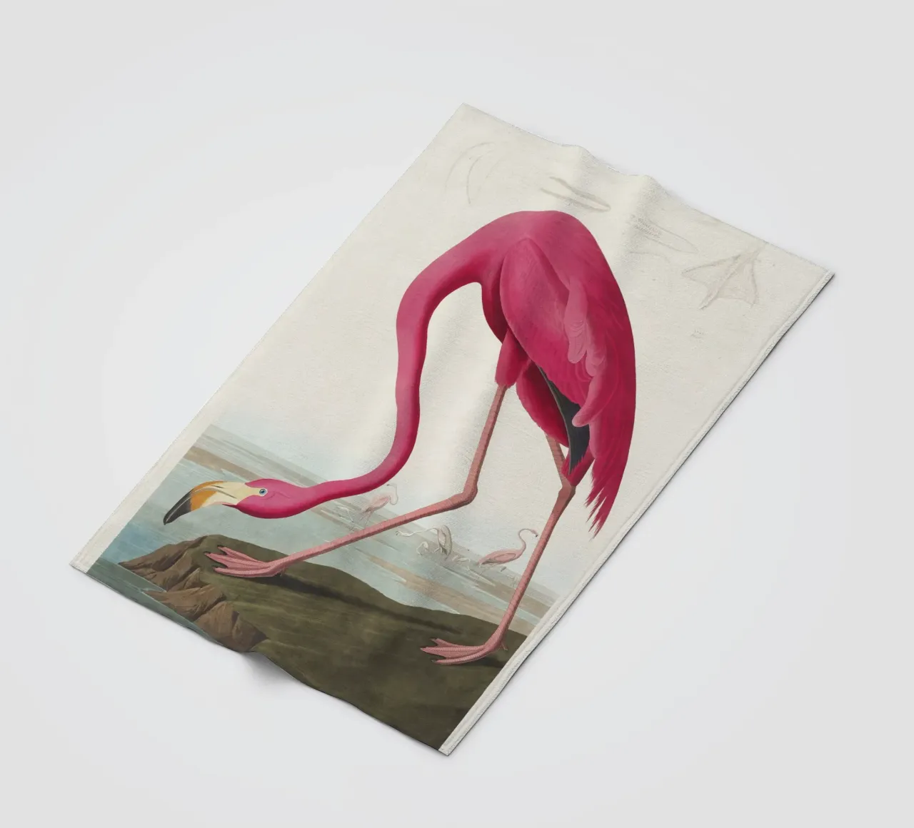 Fenicottero rosa (1827) di John James Audubon coperta in pile da Venus Art
