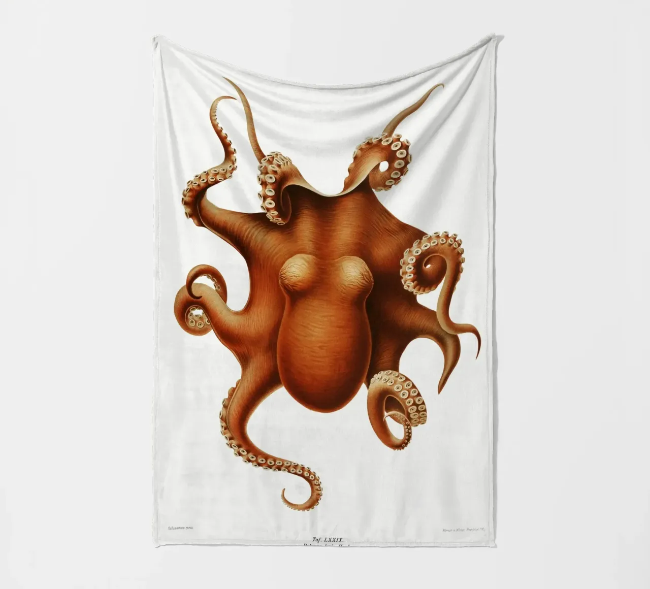 Octopus illlustration from Deutsche Tiefsee-Expedition, fleece blanket by Venus Art