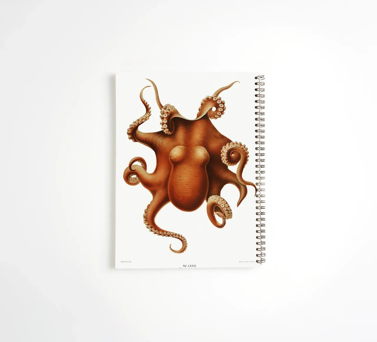 Illustration de pieuvre de l'Expédition allemande en eaux profondes, carnet à spirale de Venus Art