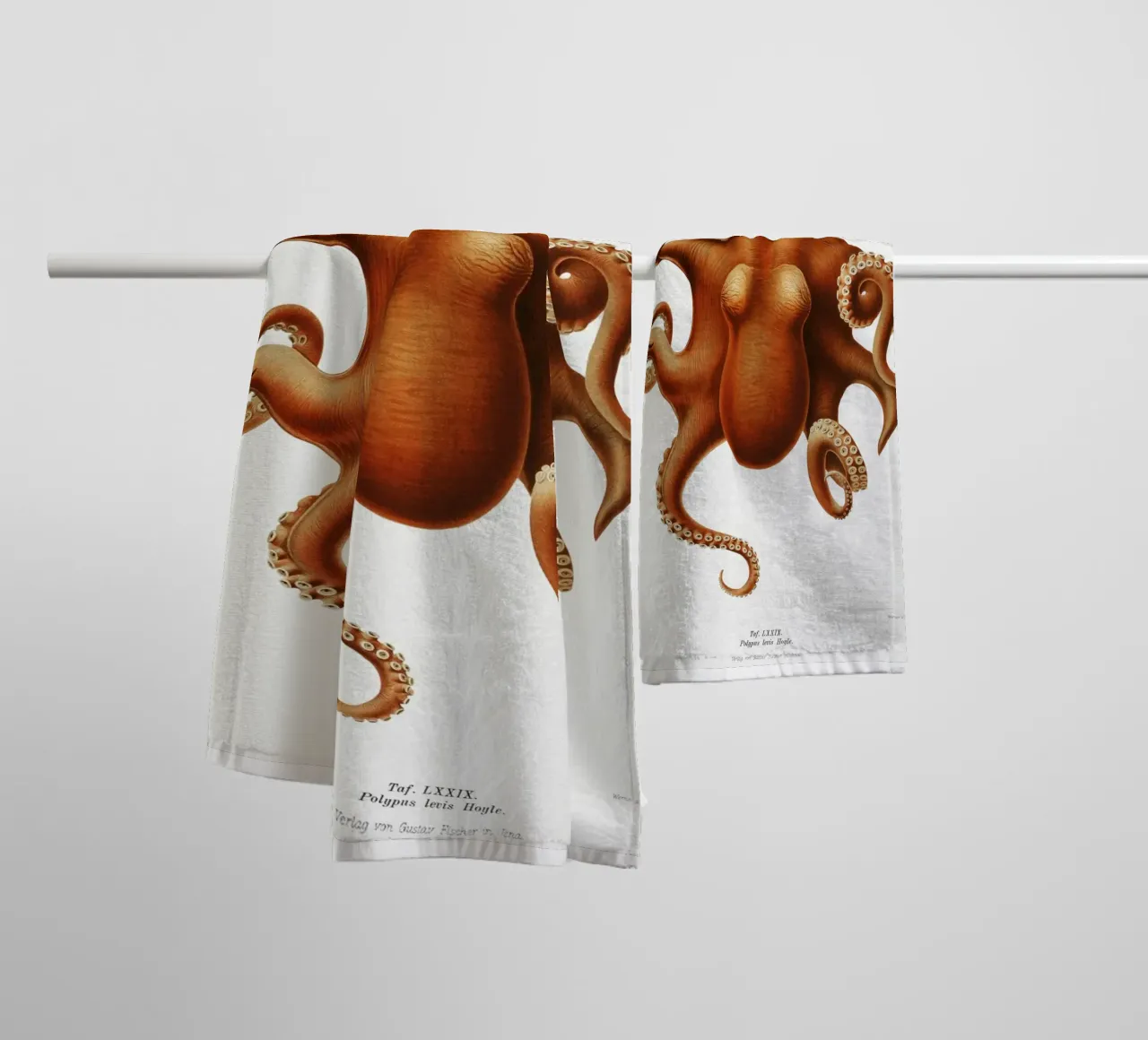 Octopus illlustration from Deutsche Tiefsee-Expedition, towel by Venus Art