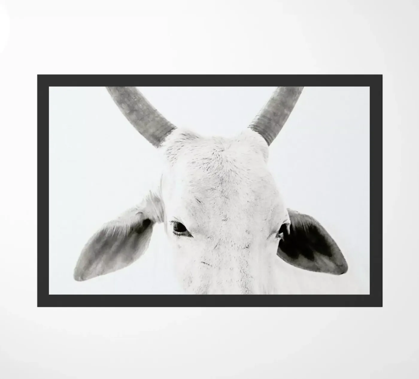 White Cow zerbino da Victoria Frost