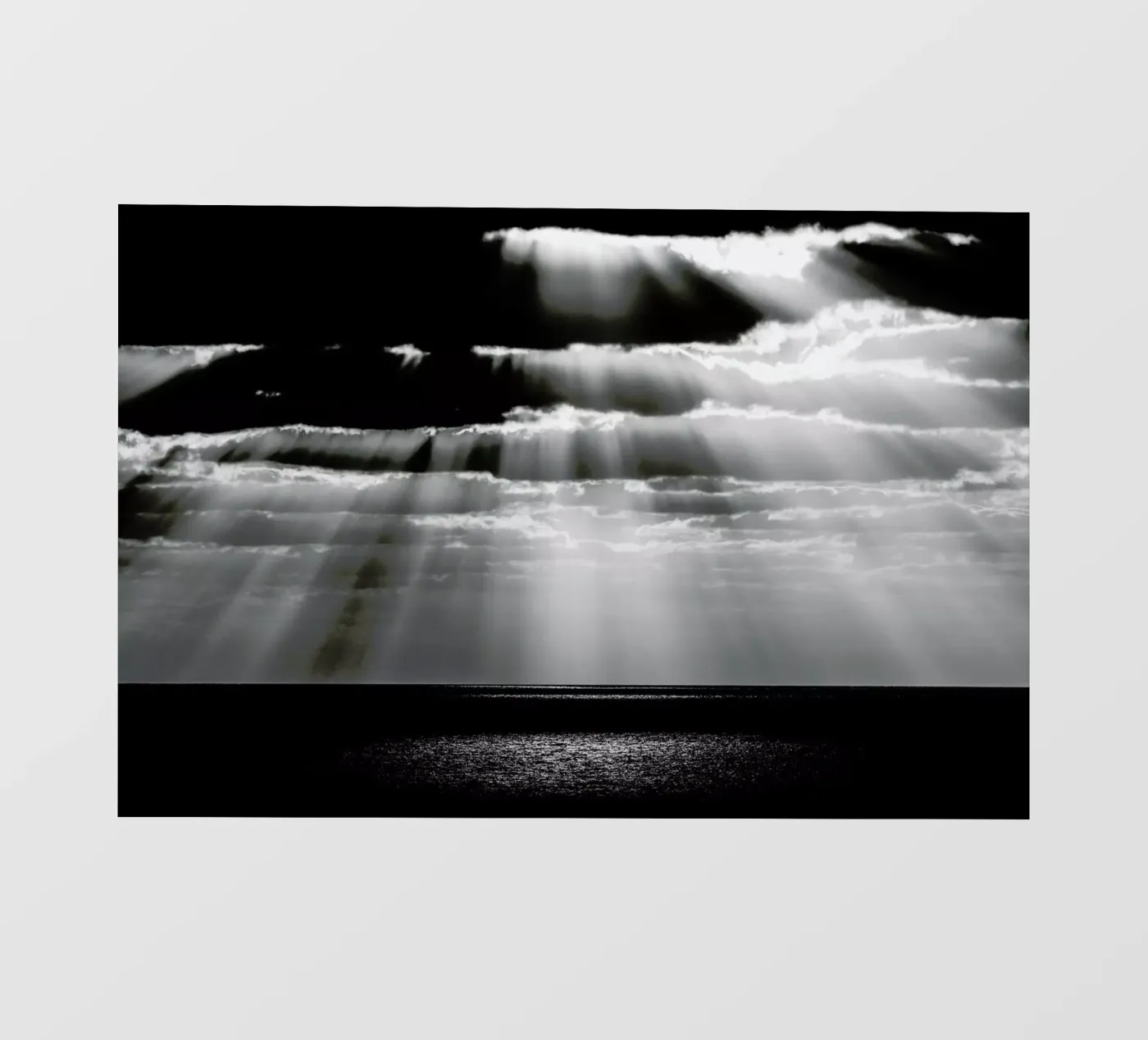Spot pellicola backlit da Tal Paz-Fridman