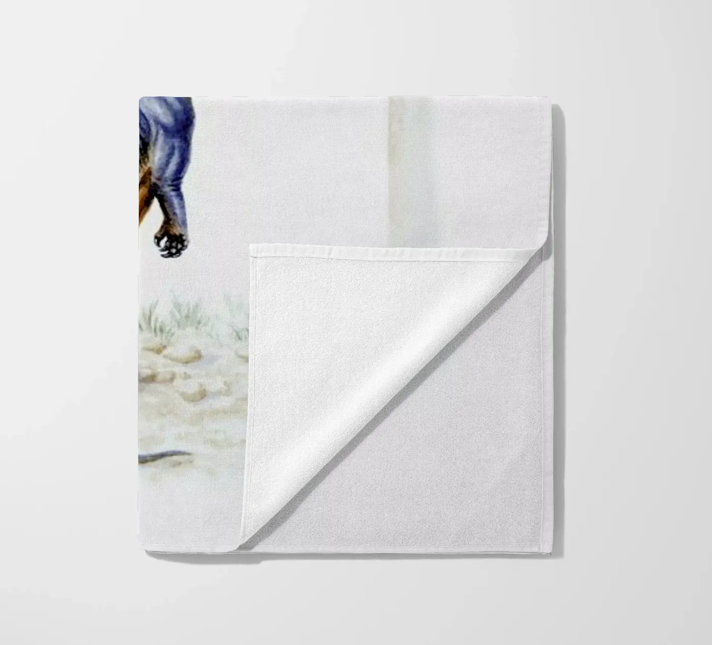 Dinosaur Dinner Time telo mare da Flora & Fauna