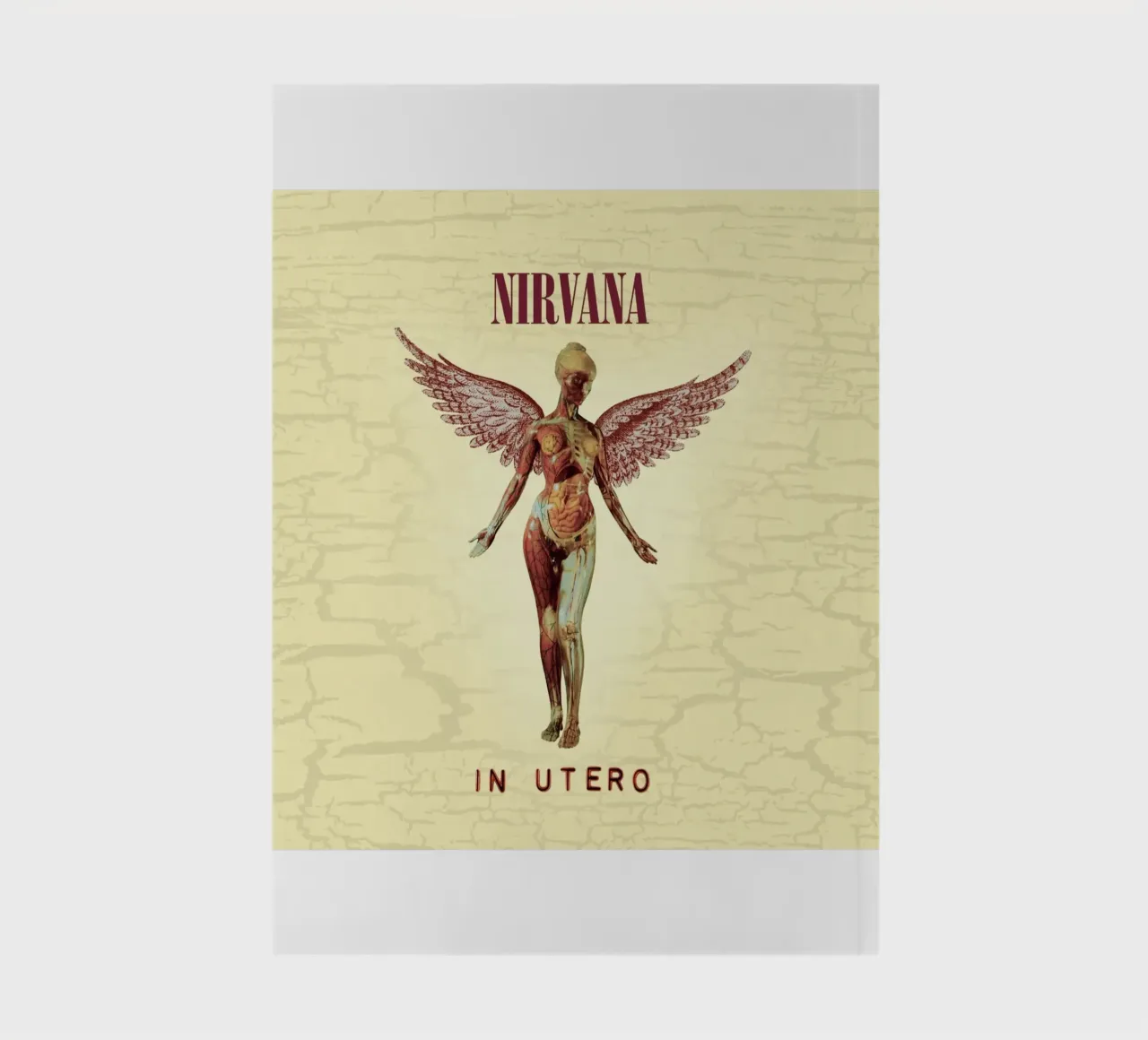 Nirvana - In Utero Cover diario da HUMMERSONIC