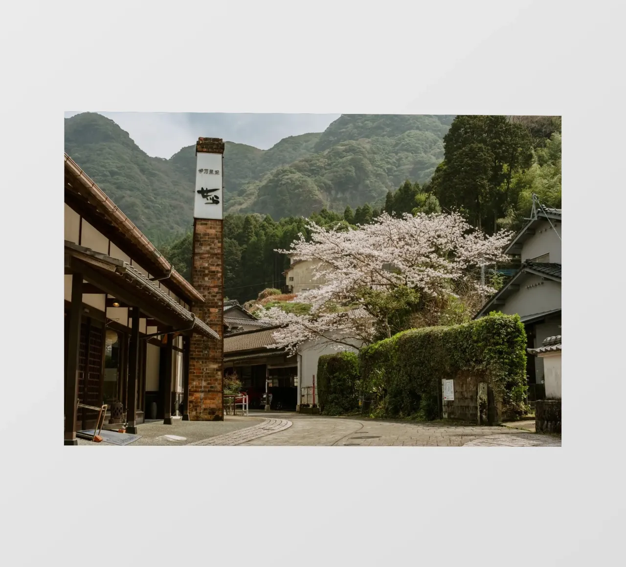 Fiori di ciliegio di Okawachiyama - Kyushu, Giappone telo in pvc da Marcel Bisig