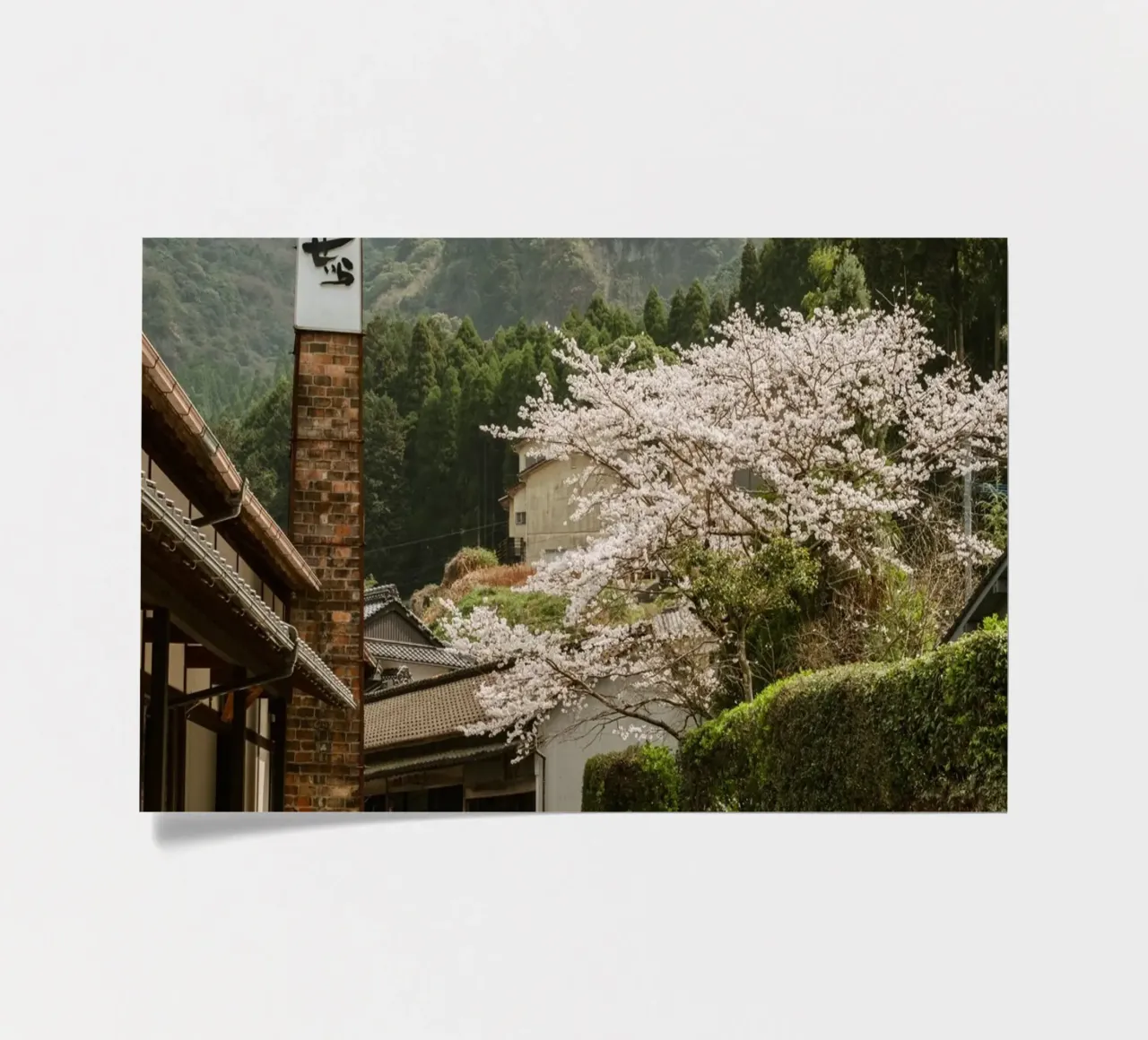 Okawachiyama-Kirschblüten - Kyushu, Japan Stickerbogen von Marcel Bisig