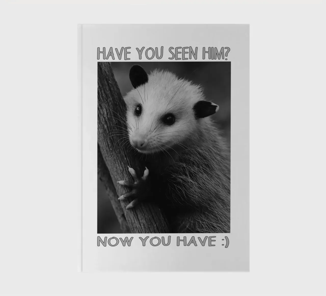 HAVE YOU SEEN HIM Possum Space art design notebook by the gondals