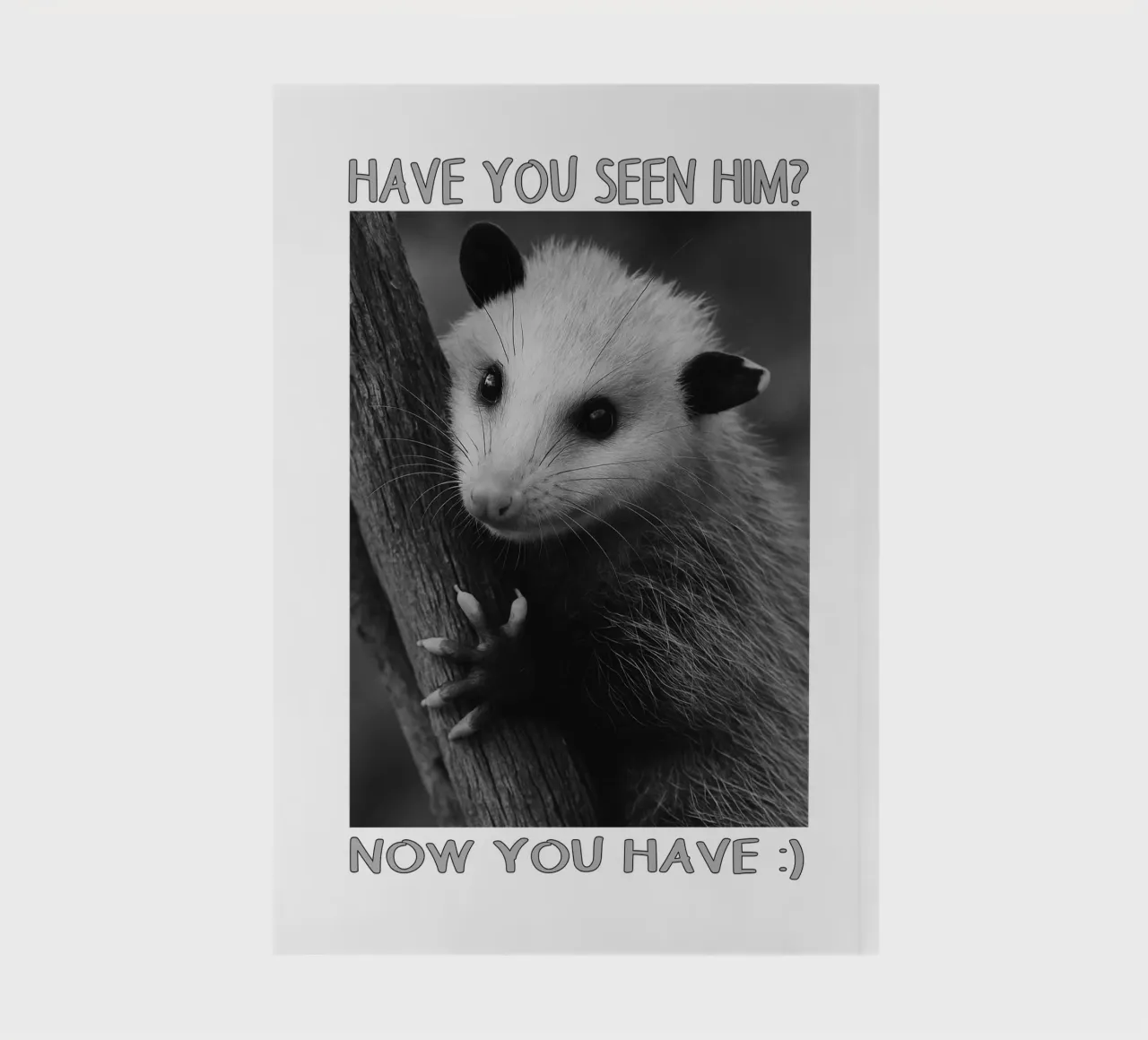 HAVE YOU SEEN HIM Possum Space art design notebook by the gondals