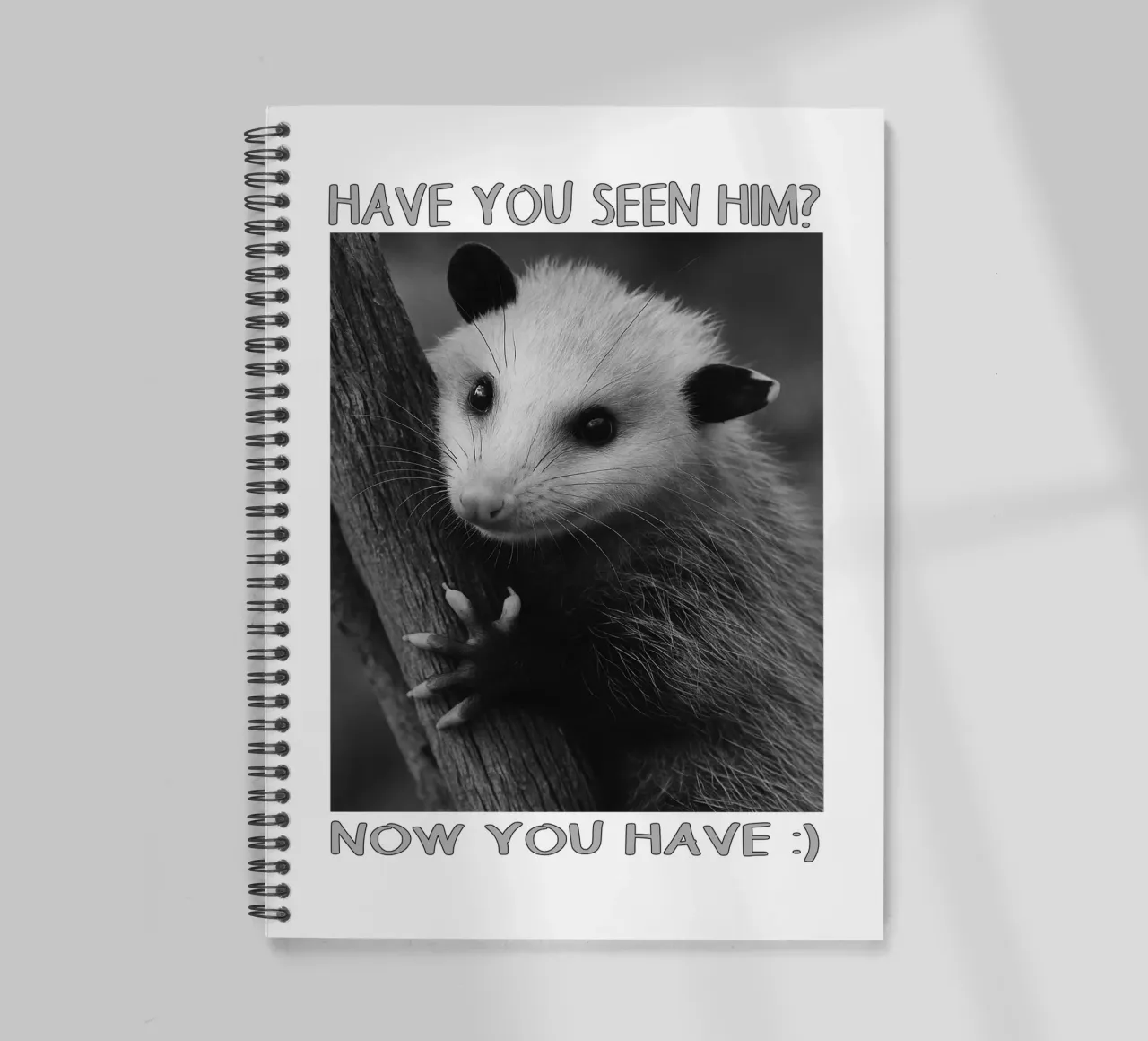 HAI VISTO LUI Possum Space art design diario ad anelli da the gondals