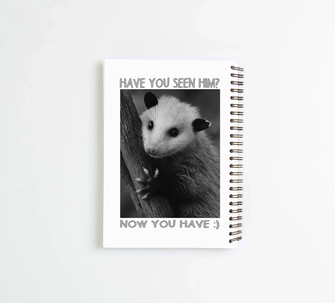 HAI VISTO LUI Possum Space art design diario ad anelli da the gondals