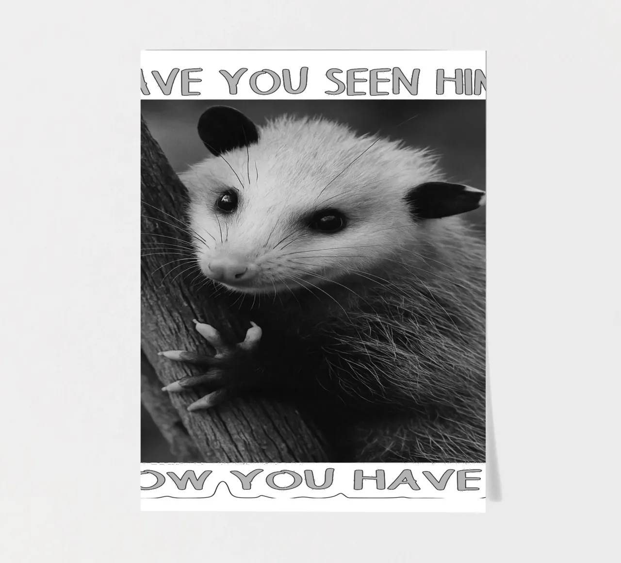 HAVE YOU SEEN HIM Possum Space art design planche autocollant de the gondals
