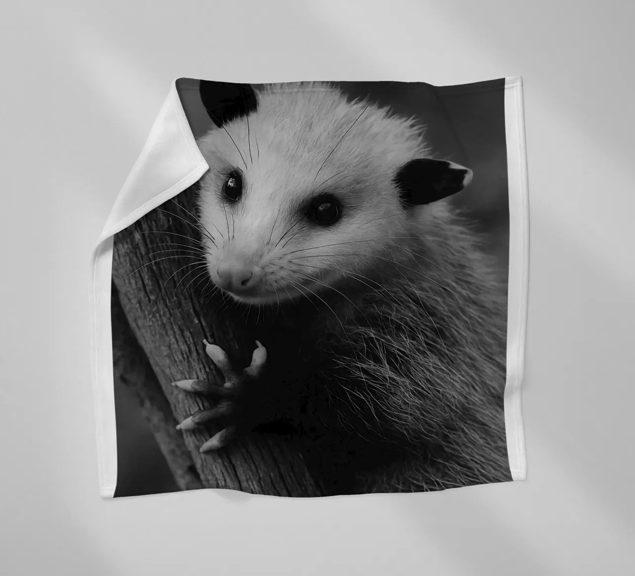 HAI VISTO LUI Possum Space art design coperta in pile da the gondals
