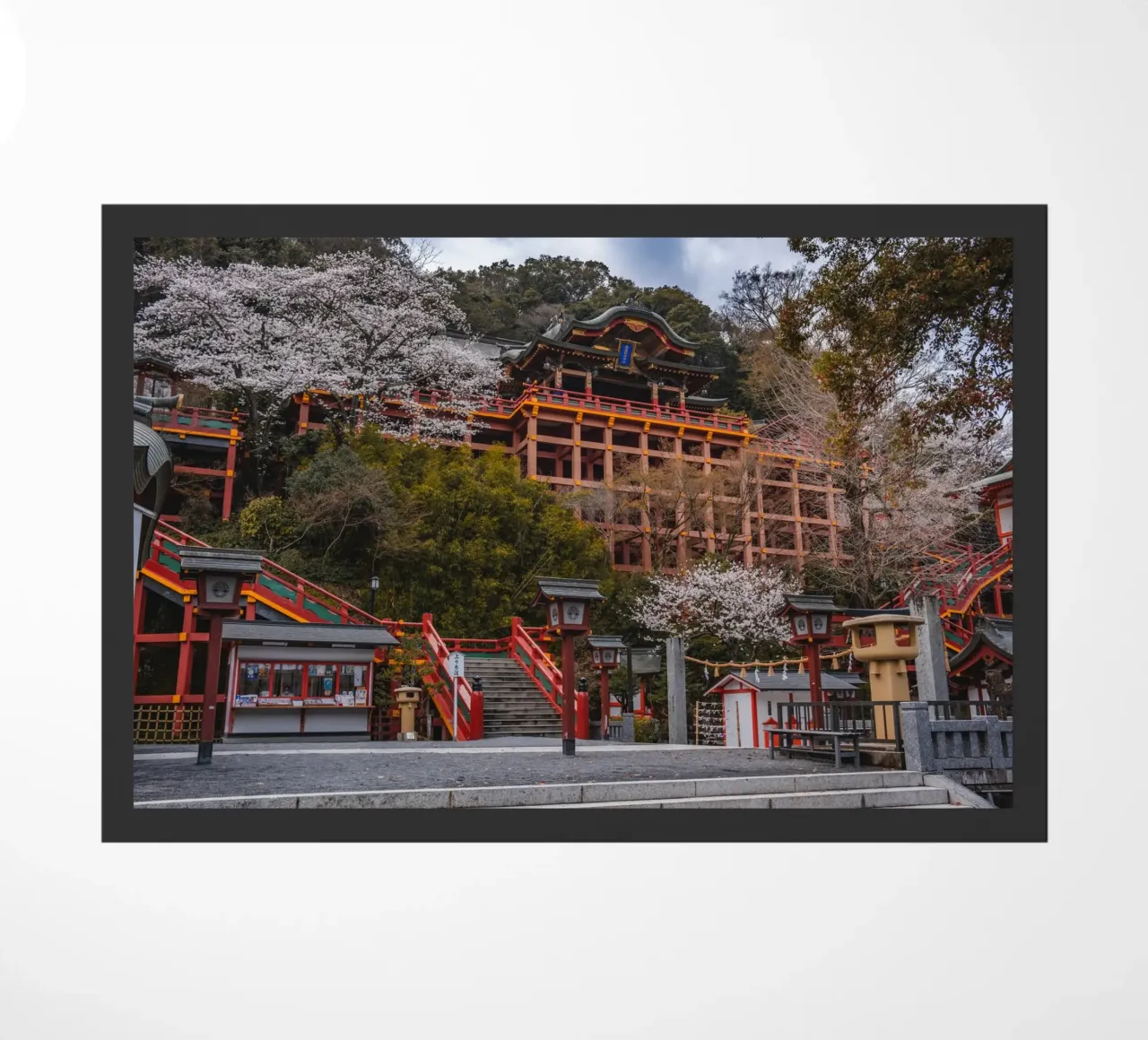 Tempio dei ciliegi in fiore a Kyushu, Giappone zerbino da Marcel Bisig