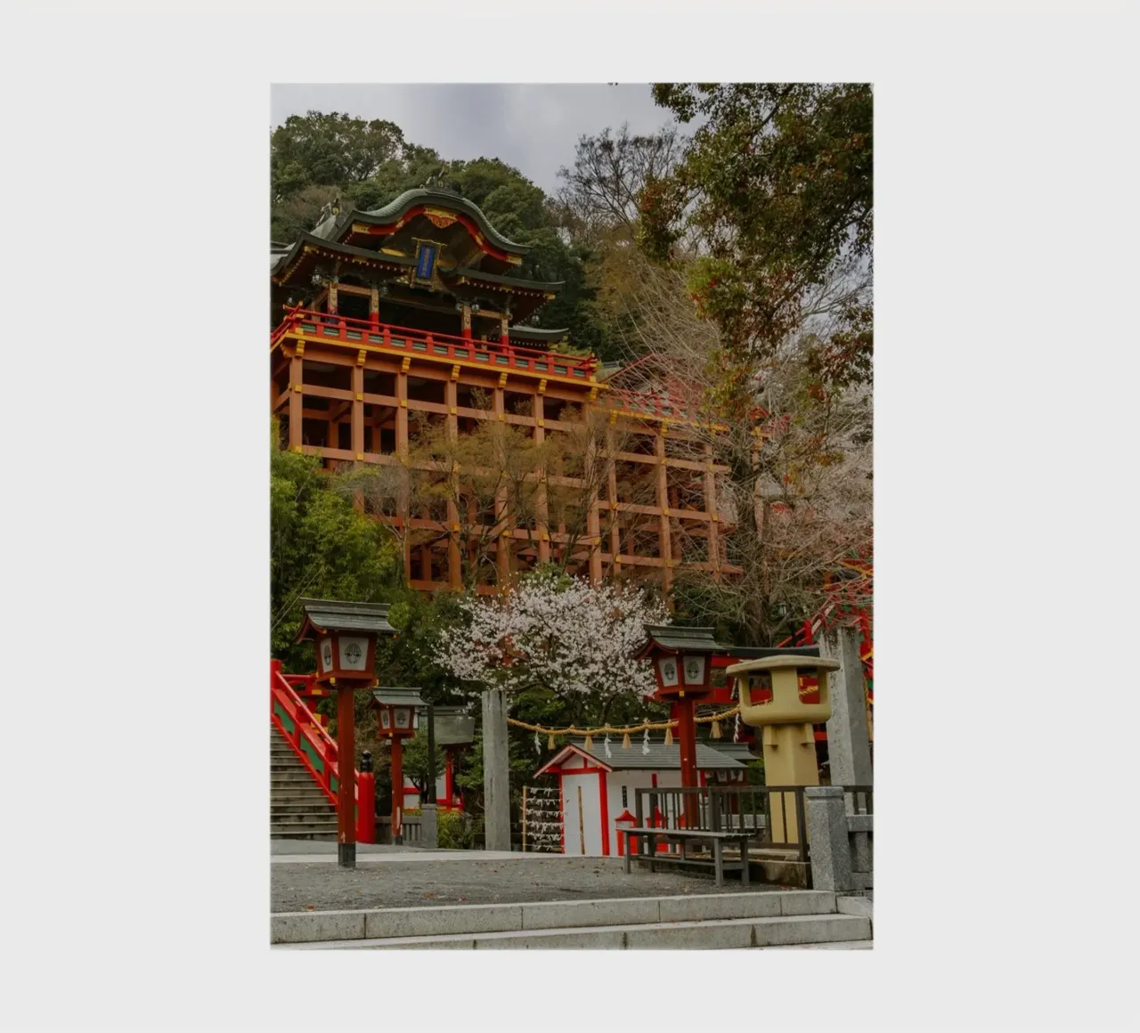 Cherry Blossom Temple in Kyushu, Japan notebook by Marcel Bisig