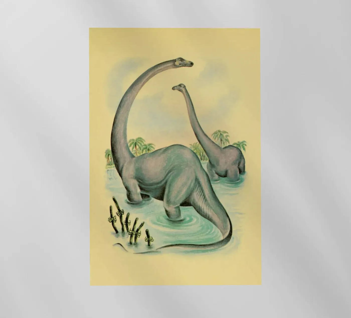 Another World pellicola backlit da Flora & Fauna